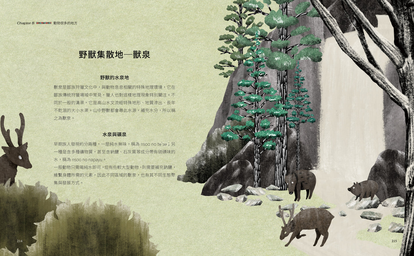 「禽丹茶」與「鄒的動物書」組合