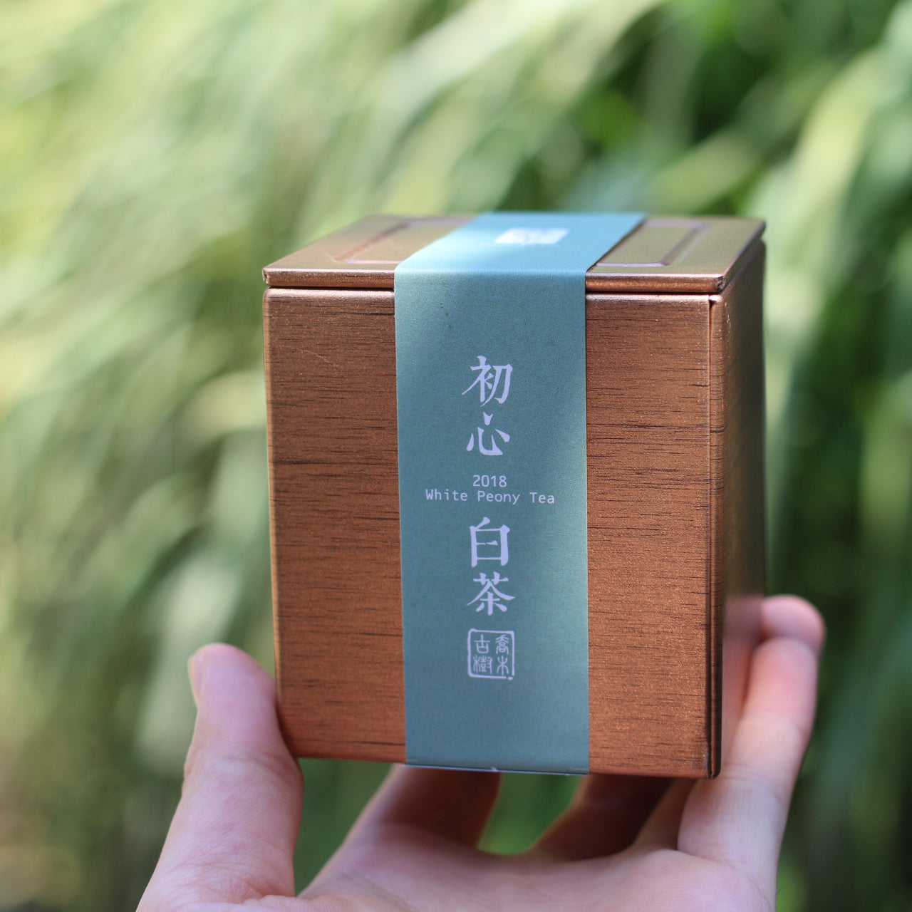 2018年初心白茶茶包