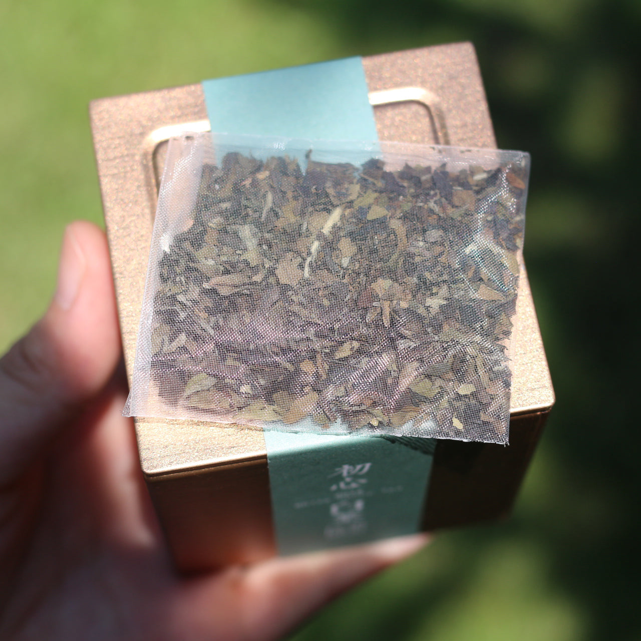 2018年初心白茶茶包